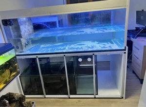 Meerwasser Süßwasser Aquarium Fische Bild 2