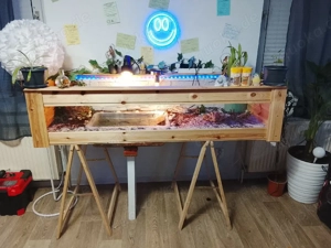 Terrarium mit zwei wasserschildkröten