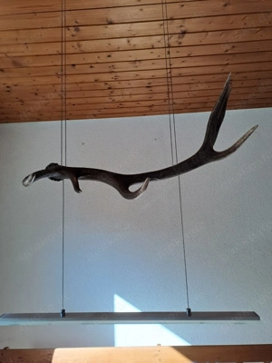 Wohn- Esszimmerlampe aus Hirschgeweih 