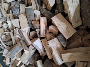 Brennholz 5 Ster Hartholz zum selbstablagern