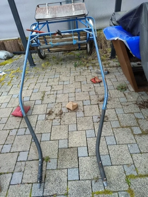 Pferderennwagen Sulki Bild 2