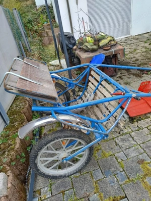 Pferderennwagen Sulki