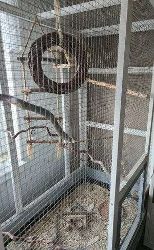 Käfige  Voliere  Bild 5