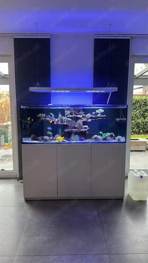 Meerwasseraquarium Red Sea Reefer 525 - Top