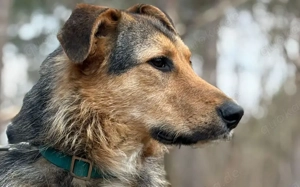 Flinti freut sich auf sein neues Leben mit dir