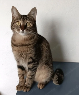 REINA- aufgeschlossen, gelehrig, freundlich