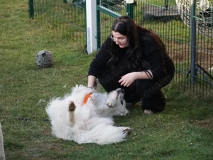 Fuchur sucht sein Zuhause