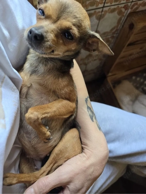 Kiki sucjt ein neues zuhase 