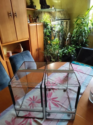 2 xTerrarium Doppellüftung 20 x 30 x 30 Falltür zur Abgabe je 35 Euro.  