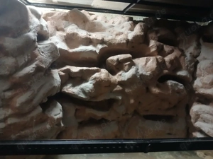 Terrarien, Aquarien Bild 2