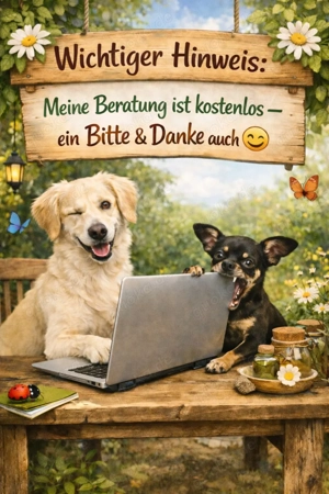 Anifit Futterprobe, natürliches & artgerechtes Katzenfutter