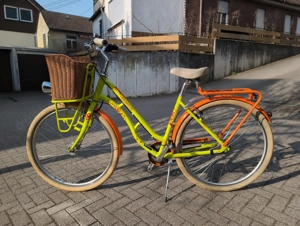 Pegasus Tourina Retro City Bike 