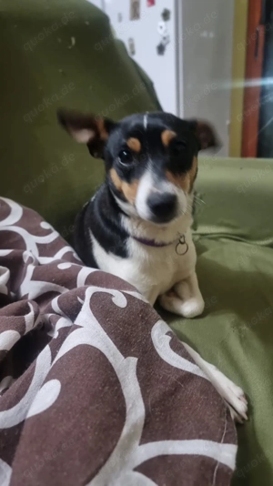 Mini-Mädchen Mandy sucht ihre Familie!