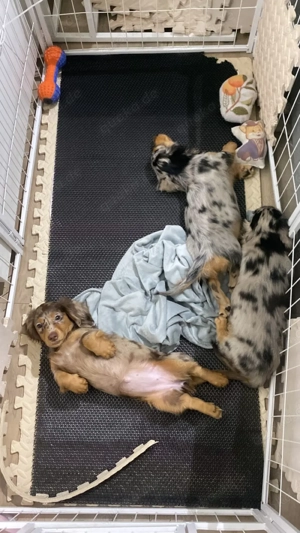 Heute gibt es 35 % Rabatt! Verpassen Sie diese Chance nicht. Schreiben Sie mir gern auf WhatsApp   