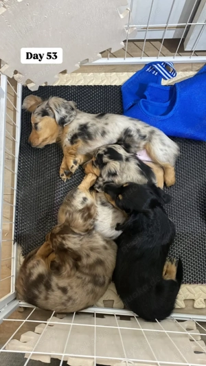    Gönnen Sie sich heute     Nehmen Sie 35 % RABATT auf Ihre Lieblingsauswahl, die Sie verdienen.