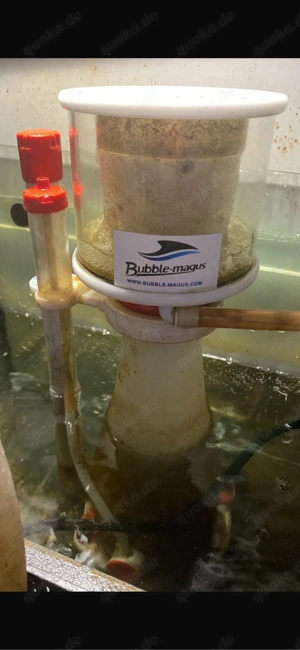 Bubble Magus Curve 5