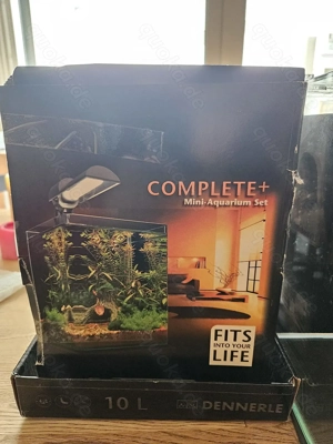 Kleines Aquarium 10l im Set.