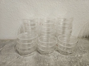Verkaufe 30 Glas Petrischalen 75 x 18 mm