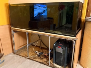 Aquarium inkl Zubehört 