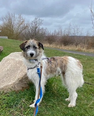 Marilu möchte dein Herz erobern 