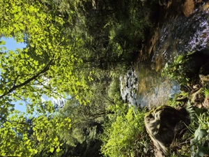 Schau mir zu und du bekommst ein TG :)