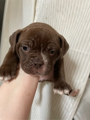 Ab April zuhause gesucht 