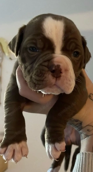 Ab April zuhause gesucht 