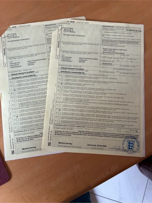 Griechische Landschildkröten