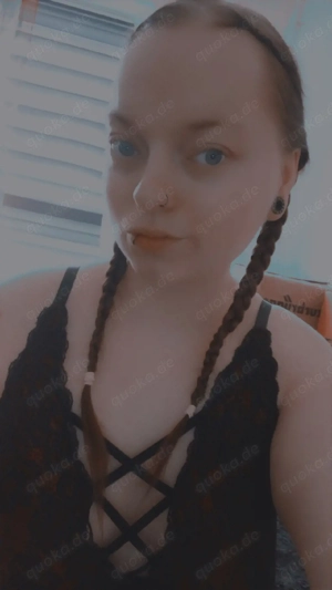 ganze dropbox für 10  