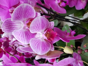 Unkompliziertes Treffen