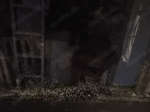 Aquarium komplett mit alles 