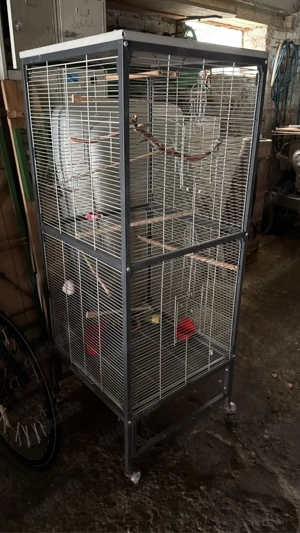 Vögel Käfig XXL 