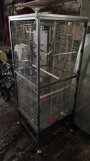 Vögel Käfig XXL 