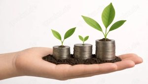 Innovatives Einkommenskonzept - Teilzeit Homeoffice möglich