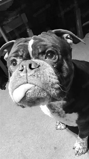 heute dringend abzugeben 