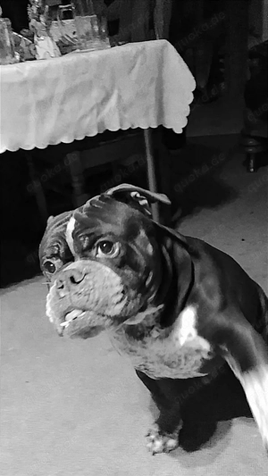 heute dringend abzugeben 