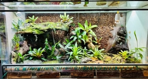 Terrarium Glas 120x60x50 (BxHxT) mit Zubehör!