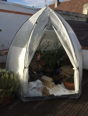 Pflanzen-Iglu für Überwinterung