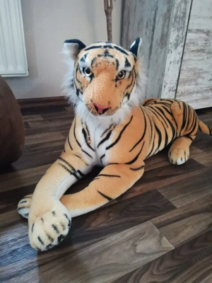 Tiger sehr lieb 