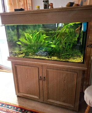 Aquarium Kombination zu verkaufen 