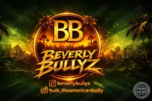 American Bully Welpen mit ABKC Papieren