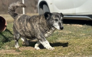 Für Karlchen muss das Glück einen zweiten Anlauf nehmen!