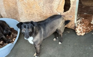 Hier kommt die bezaubernde Venus Bild 3