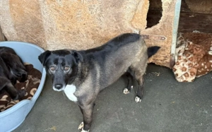 Hier kommt die bezaubernde Venus Bild 2