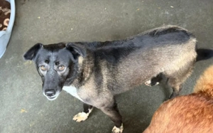 Hier kommt die bezaubernde Venus