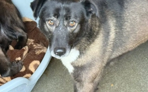 Hier kommt die bezaubernde Venus Bild 4