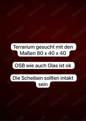 Terrarien gesucht 