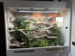 XXL Terrarium 160x130x60