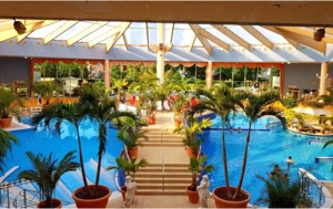 Suche Begleitung für den 28.3.