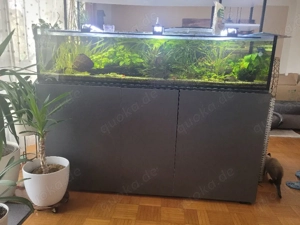 Aquarium Sondermaß